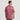 Rhubarb | On Model Back