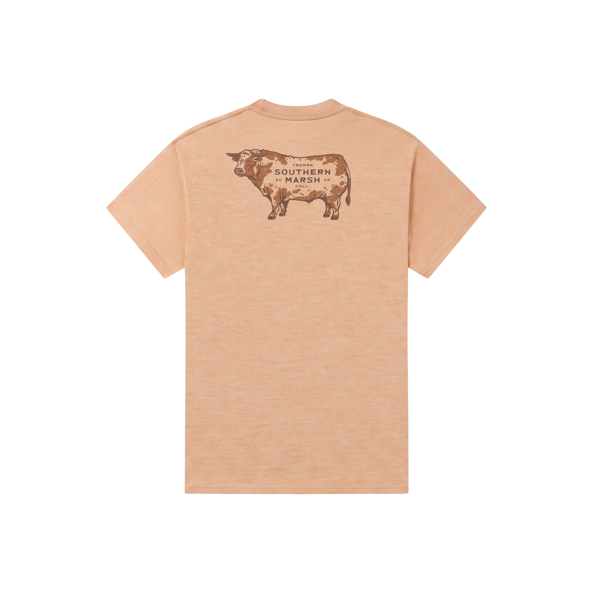 Camel | Back