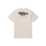 Ash Gray
