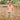 Coral  & Slate | lifestyle