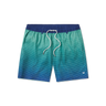 Navy       and  Mint