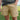 Khaki Fishing